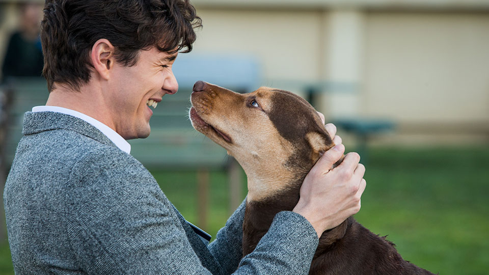 Gavin (Barry Watson) und sein Hund Bella