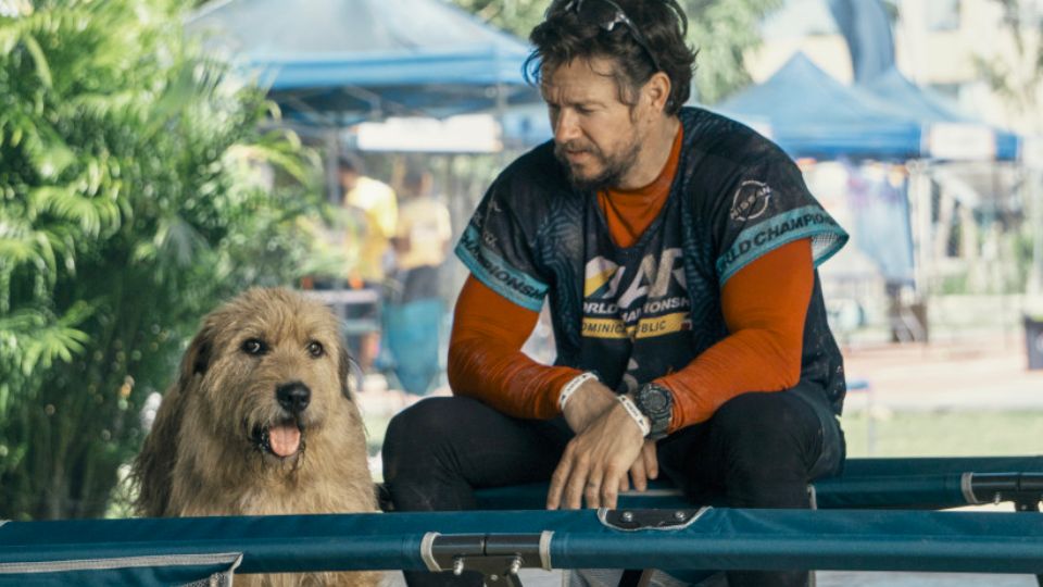 Mikael Lindnord (Mark Wahlberg) mit dem Hund Arthur