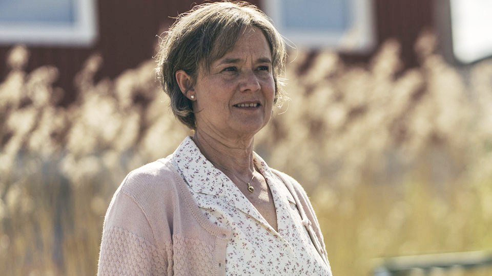 Britt Marie Var Här Netflix