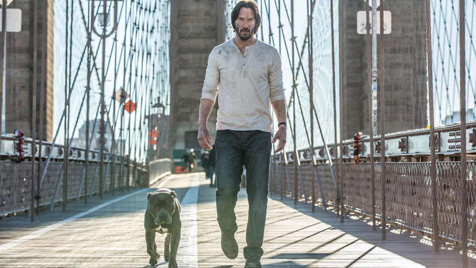 Noch immer wird John Wick (Keanu Reeves) keine Ruhe gegönnt, stattdessen geht es für den Ex-Auftragskiller erst richtig los.