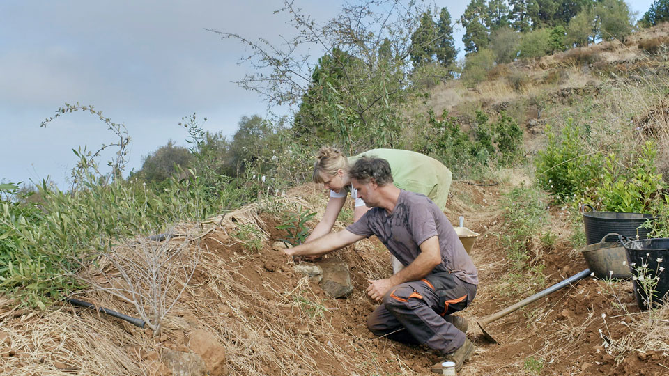 Barbara & Erich Graf in La Palma, Spanien