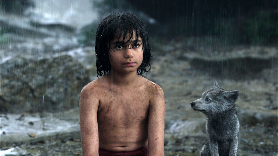 In der Realverfilmung THE JUNGLE BOOK waechst der Waisenjunge Mogli (Neel Sethi) bei Woelfen auf. 