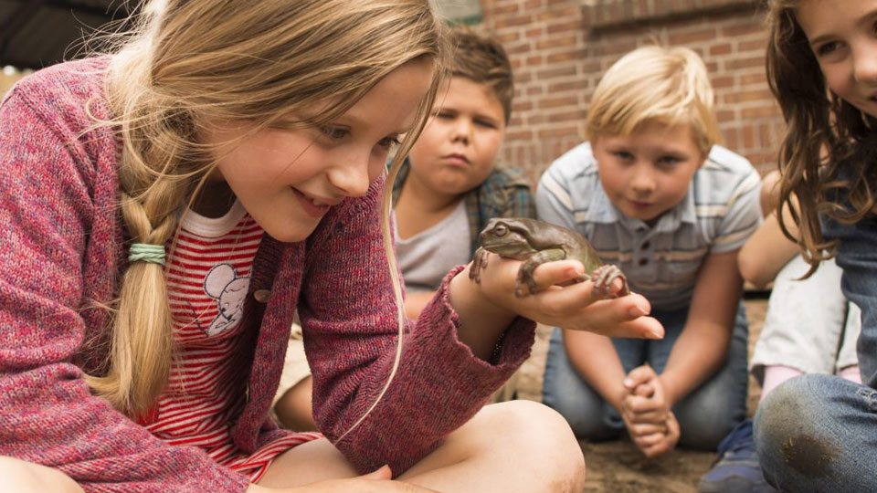 Sita (Yenthe Bos) und ihre Mitschüler kümmern sich um ihren Lehrern, der sich in einen Frosch verwandelt hat.