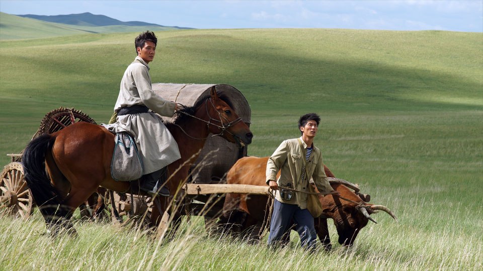 Im Drama DER LETZTE WOLF wird Chen und sein Kollege in die Mongolei geschickt, um den Hirten Lesen und Schreiben beizubringen.