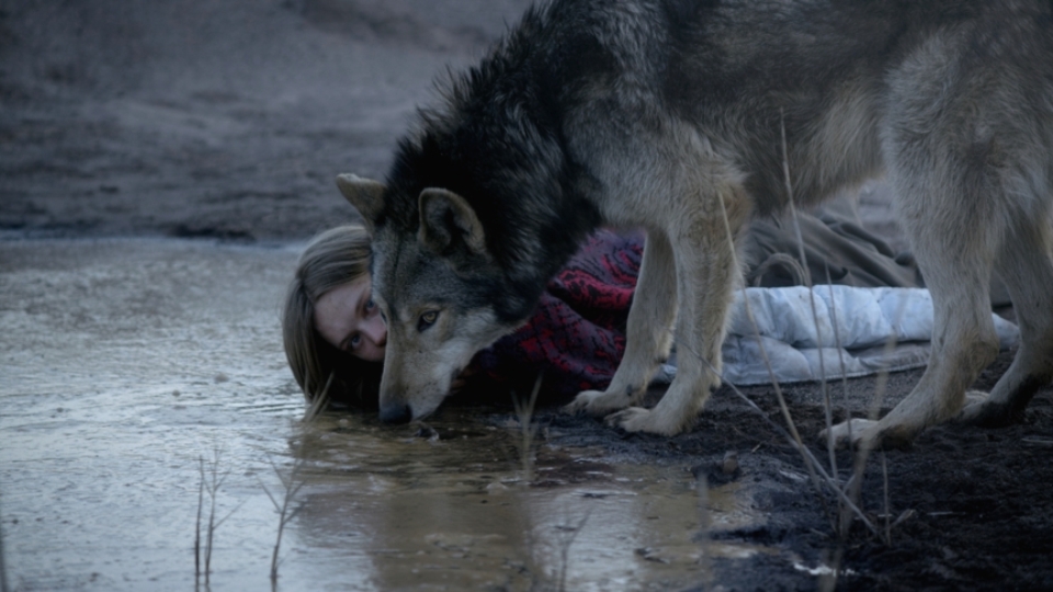Ania (Lilith Stangenberg) und der Wolf