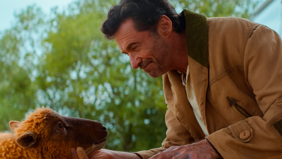 George (Hugh Jackman)