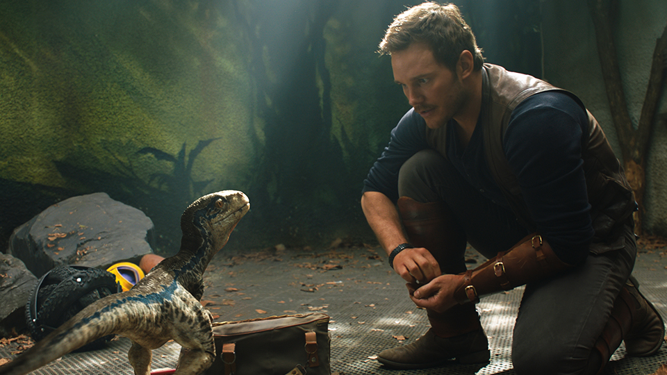 Als ein Vulkanausbruch auf der Dinosaurier-Insel droht, bittet Claire den ehemaligen Pfleger Owen (Chris Pratt) um Hilfe.