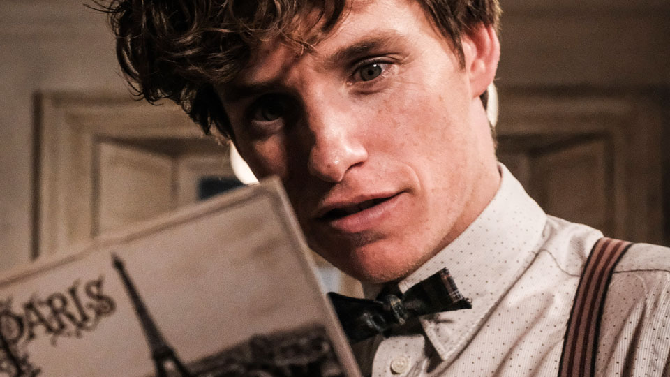 Die PHANTASTISCHE TIERWESEN-Forsetzung GRINDELWALDS VERBRECHEN führt den Zauberer Newt Scamander (Eddie Redmayne) nach Paris: