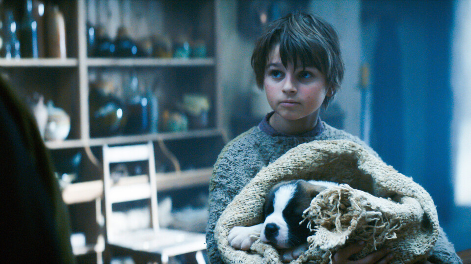 Neu im Kino: MEIN FREUNBD BARRY - Ein Hund, der Herzen rettet